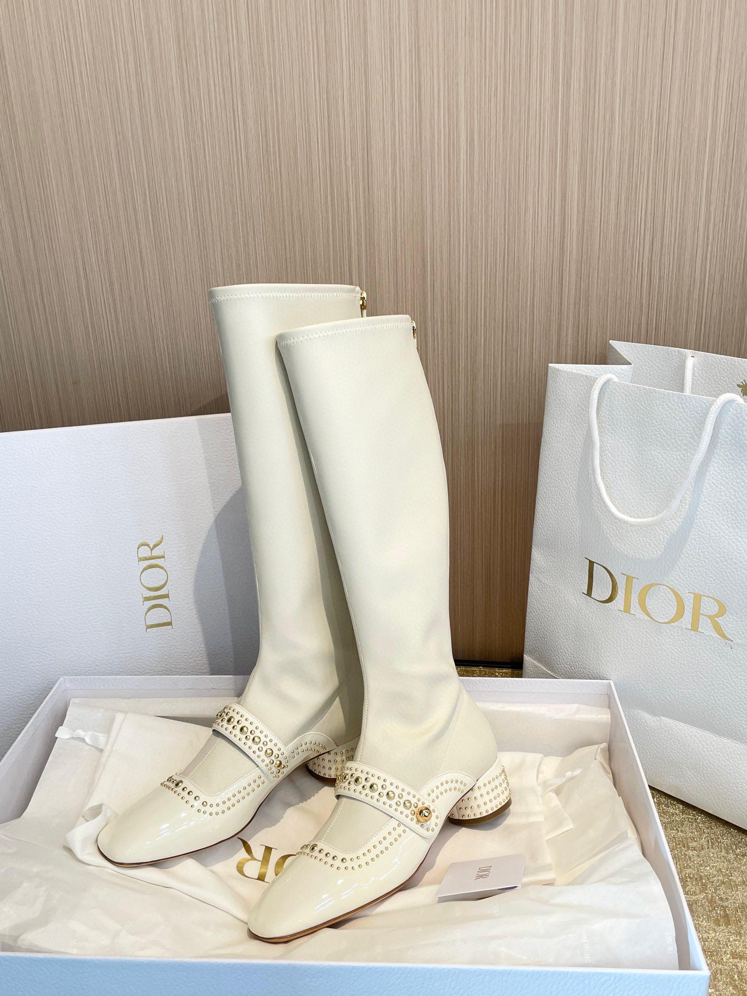 Сапоги Dior