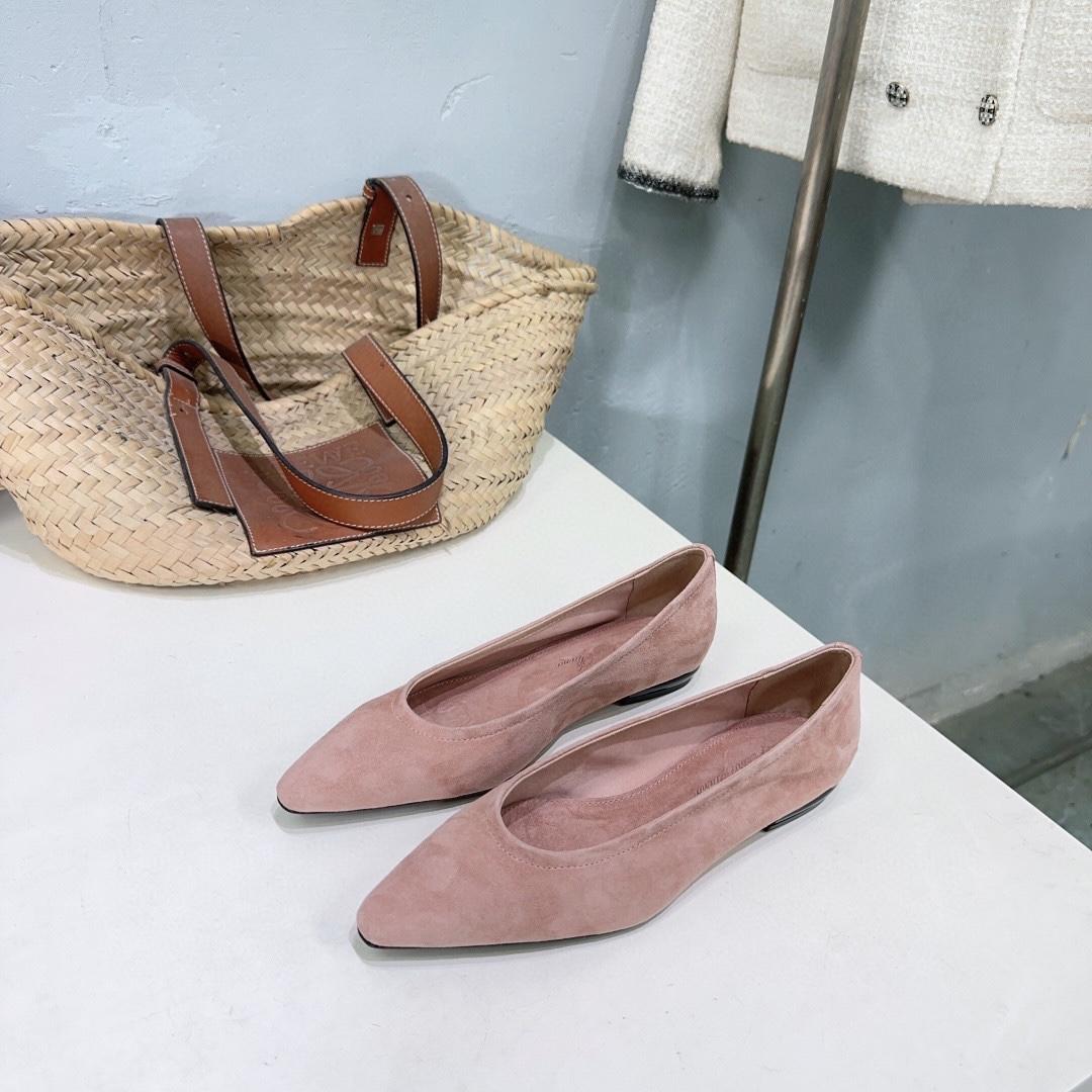 Балетки Loro Piana